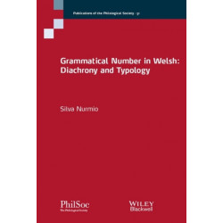 Grammatical Number in Welsh: Diachrony and Typology