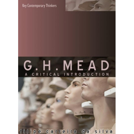 G.H. Mead: A Critical Introduction