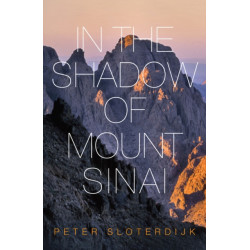 In The Shadow of Mount Sinai