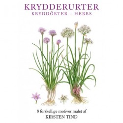 Krydderurter