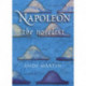 Napoleon the Novelist