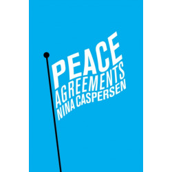 Peace Agreements: Finding Solutions to Intra-state Conflicts