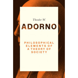 Philosophical Elements of a Theory of Society