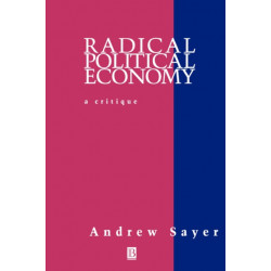 Radical Political Economy: Critique and Reformulation
