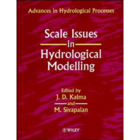 Scale Issues in Hydrological Modelling