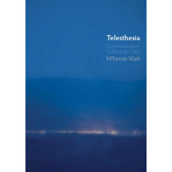 Telesthesia: Communication, Culture and Class