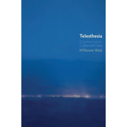Telesthesia: Communication, Culture and Class