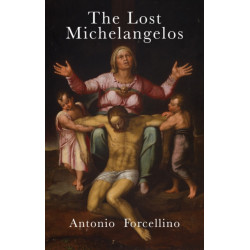 The Lost Michelangelos