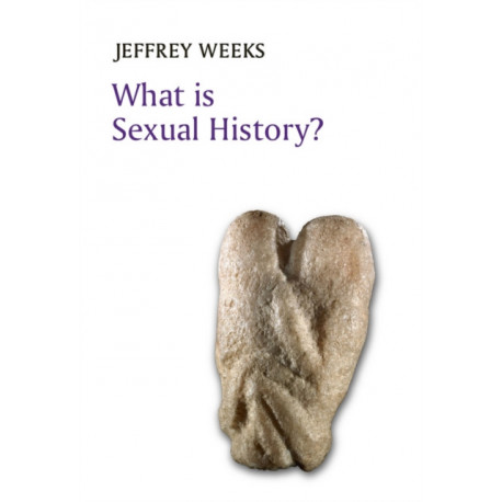 What is Sexual History?