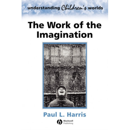 The Work of the Imagination