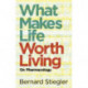What Makes Life Worth Living: On Pharmacology