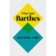 Why I Love Barthes