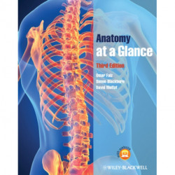 Anatomy at a Glance