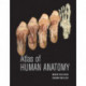 Atlas of Human Anatomy