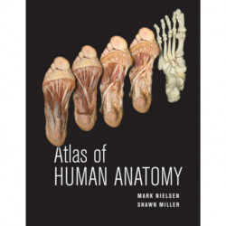 Atlas of Human Anatomy