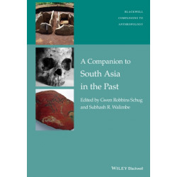A Companion to South Asia in the Past