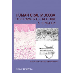 Human Oral Mucosa: Development, Structure and Function