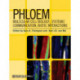 Phloem: Molecular Cell Biology, Systemic Communication, Biotic Interactions
