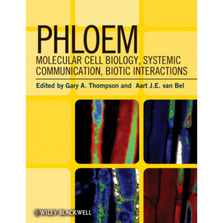 Phloem: Molecular Cell Biology, Systemic Communication, Biotic Interactions
