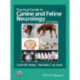 Practical Guide to Canine and Feline Neurology