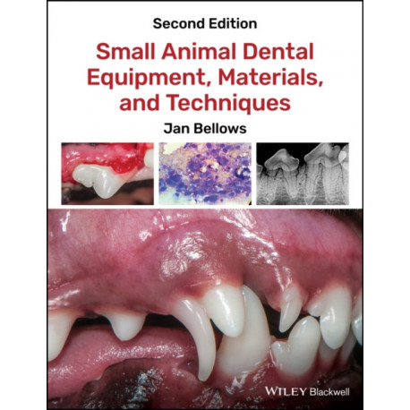Small Animal Dental Equipment, Materials, and Techniques