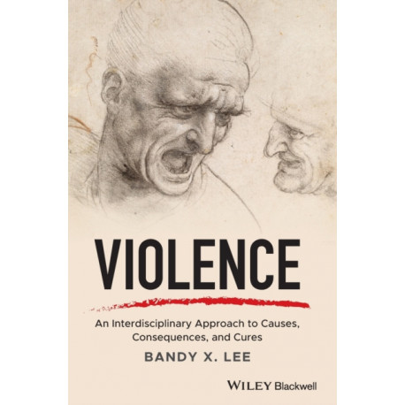 Violence: An Interdisciplinary Approach to Causes, Consequences, and Cures