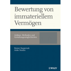 Bewertung von immateriellem Vermogen: Anlasse, Methoden und Gestaltungsmoglichkeiten