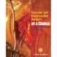 Vascular and Endovascular Surgery at a Glance