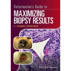 Veterinarian's Guide to Maximizing Biopsy Results