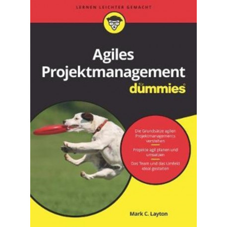 Agiles Projektmanagement fur Dummies