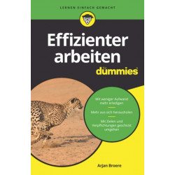 Effizienter arbeiten fur Dummies