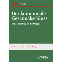 Der kommunale Gesamtabschluss: Konsoliderung in der Doppik