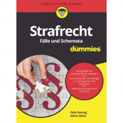 Strafrecht Falle und Schemata fur Dummies
