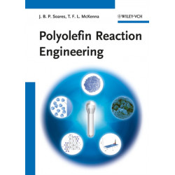 Polyolefin Reaction Engineering
