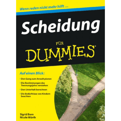 Scheidung fur Dummies