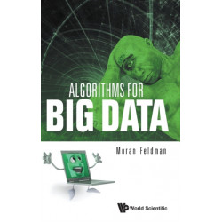Algorithms For Big Data