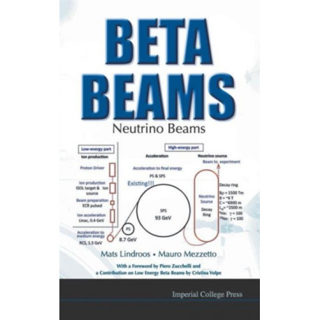 Beta Beams: Neutrino Beams