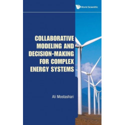 Collaborative Modeling And Decision-making For Complex Energy Systems