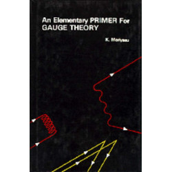 Elementary Primer For Gauge Theory, An