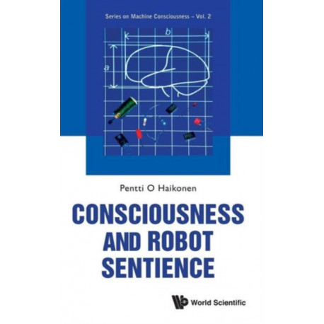 Consciousness And Robot Sentience