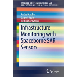 Infrastructure Monitoring with Spaceborne SAR Sensors