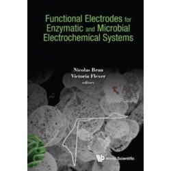 Functional Electrodes For Enzymatic And Microbial Electrochemical Systems