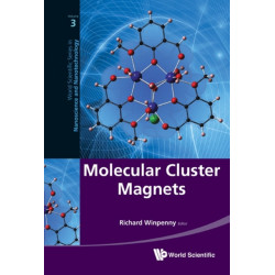 Molecular Cluster Magnets