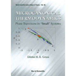 Microcanonical Thermodynamics: Phase Transitions In "Small" Systems