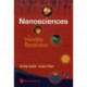 Nanosciences: The Invisible Revolution