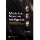 Metrics, Norms And Integrals: An Introduction To Contemporary Analysis