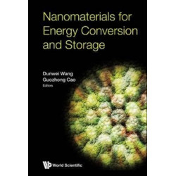 Nanomaterials For Energy Conversion And Storage