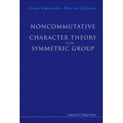 Noncommutative Character Theory Of The Symmetric Group