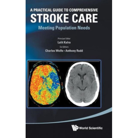 Practical Guide To Comprehensive Stroke Care, A: Meeting Population Needs