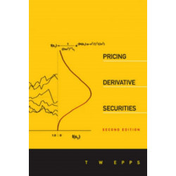 Pricing Derivative Securities (2nd Edition)